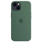 Силиконовый чехол для iPhone 13 Apple Silicone Case with MagSafe (анимация) - Eucalyptus