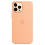 Силиконовый чехол для iPhone 12 Pro Max Apple Silicone Case Cantaloupe 