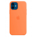 Силиконовый чехол для iPhone 11 Apple Silicone Case Clementine (Orange)