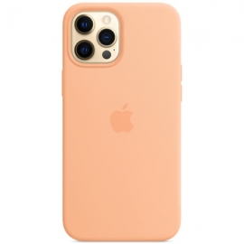 Силиконовый чехол для iPhone 12 / 12 Pro Apple Silicone Case Cantaloupe 